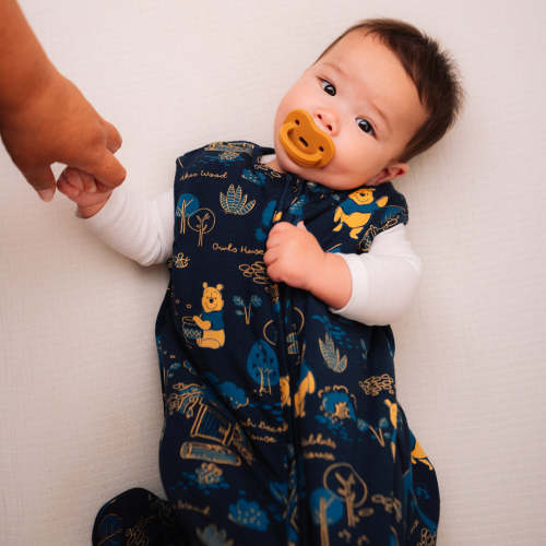 Disney Sleep Bag - Winnie the Pooh – Milk Snob