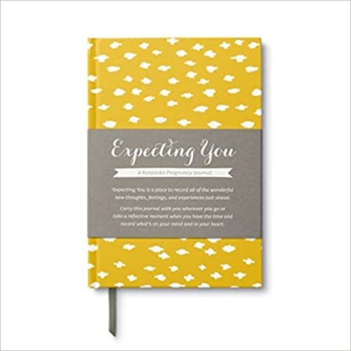 Amelia Riedler Expecting You β Keepsake Pregnancy Journal