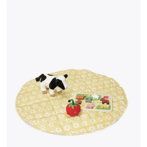 Inside Outside Play Mat Portable Baby Blanket