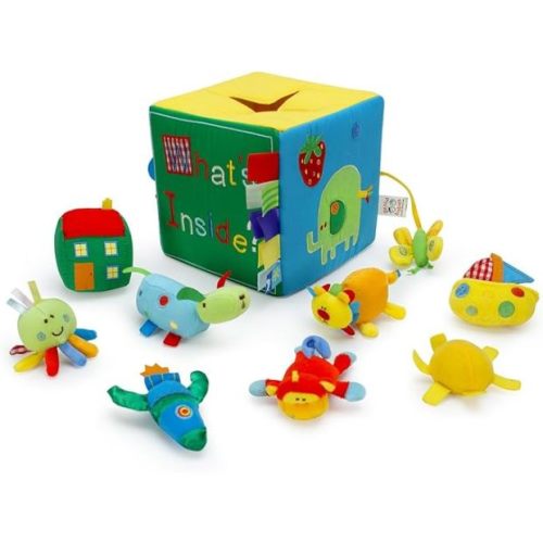 Genius Baby What's Inside Toy Box