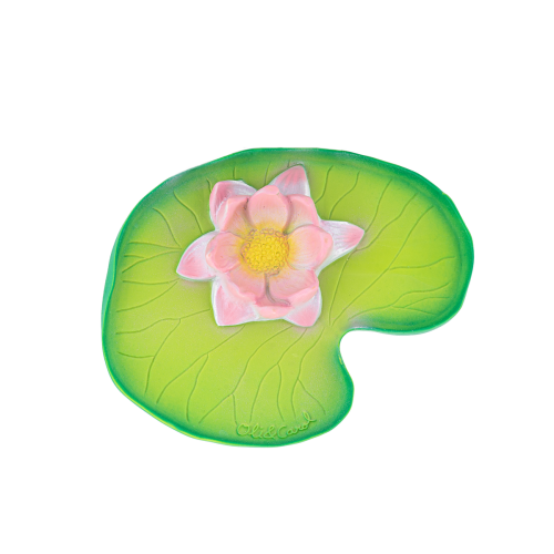 Water Lily