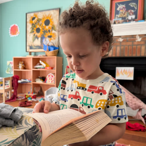 Big brother books