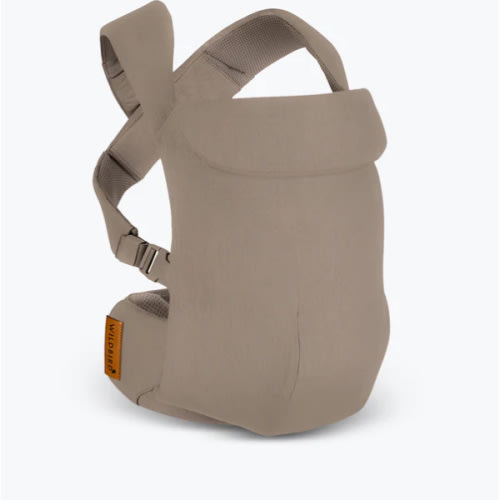 Desert Lark - Aerial Carrier – WildBird