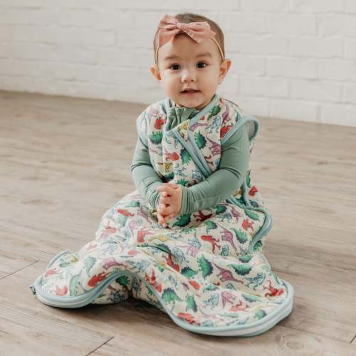 Sleep Bag - Dinosaurs of Jurassic Park