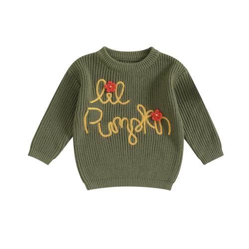Toddler Baby Girl Knit Sweaters Oversized Long Sleeve Embroidery Shirt Top Newborn Infant Cute Fall Winter Clothes