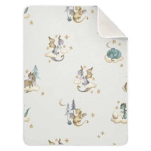 Dragon Baby Cotton Swaddle Blanket - Lightweight Soft Receiving Blanket for Infants, Crib, Stroller, Nursery - Fairytale, 30x40 in