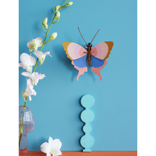 Gold Rim Butterfly - Studio ROOF