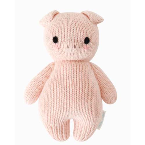 Baby piglet