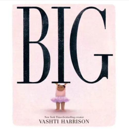 Big - By Vashti Harrison (Hardcover)