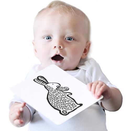 Wee Gallery Art Cards for Baby, Durable High Contrast Black and White Animal Flashcards for Newborns, Brain Development, Sensory Toys, Tummy Time Essentials for Infant and Toddler - Pets