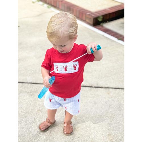 Boys Seersucker Short Set Crawfish Smocked Outfit - Perfect for Spring & Summer!