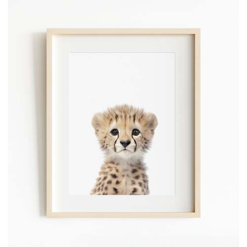 Baby Cheetah