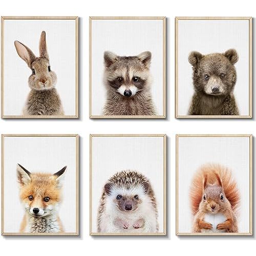 EPHANY Cute Animal Photography Wall Prints for Baby Boys & Girls Room Panda,Giraffe,Elephant (12"X16"(30x40cm))