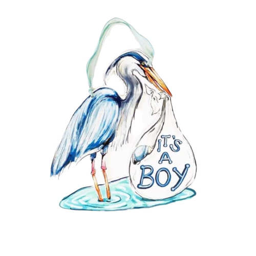 It's a Boy Blue Heron Door Hanger