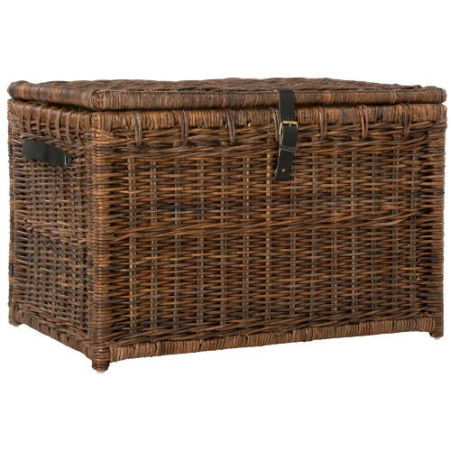 happimess HPM9004A Michael 35" Wicker Storage Trunk, Brown