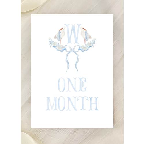 Custom Milestone Cards, Preppy Baby Milestone Cards, Classic Milestone Cards, Girls Preppy Classic Milestone Cards