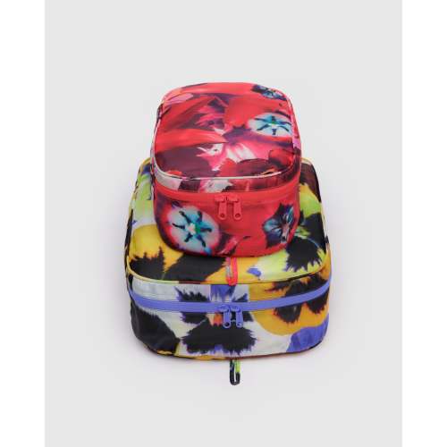 Packing Cube Set