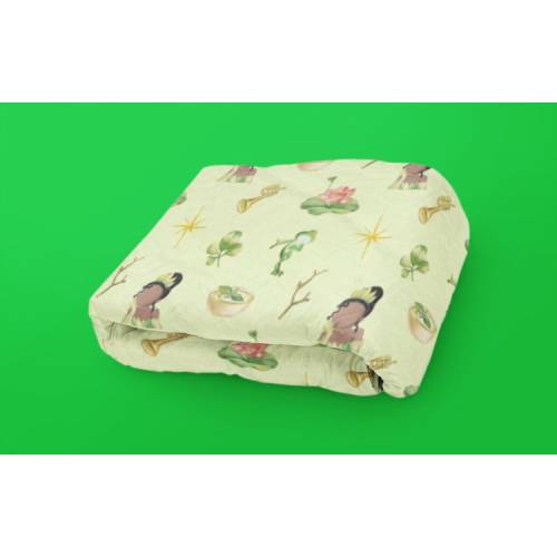 Soft Green Children Tiana Blanket Princess Character Blanket Baby Toddler Twin Size Blanket Comfy Kid Throw Themed Frog Princess Blanket