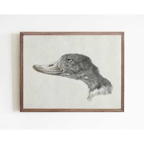 Vintage geese print | antique spring duck painting | vintage nursery wall decor | bird watercolor painting | farmhouse wall decor