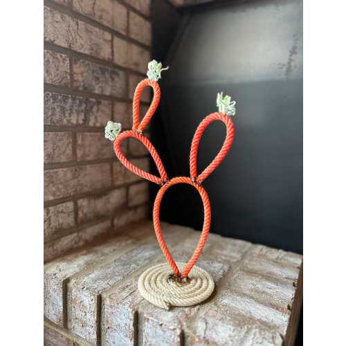 Mini Lariat Rope Cactus