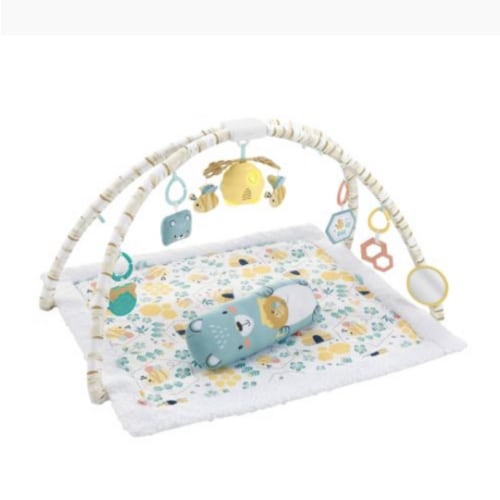 Fisher-Price Honey Bee Music & Lights Activity Gym