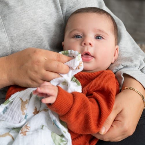 essentials cotton muslin swaddles 4 pack
