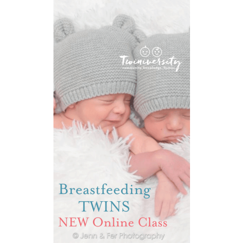 What to Do When You're Breastfeeding Two - Breastfeeding Class ($180)