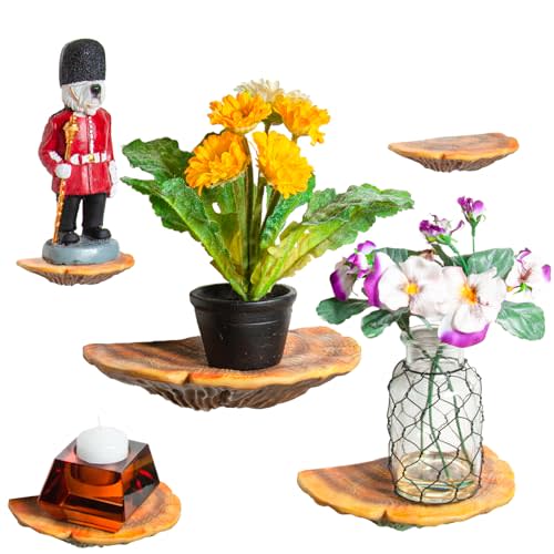 Wiosi 5-Piece Turkey Gill Mushroom Floating Shelves for Decorating Wall | Shelves for Room Wall | Perfect Floating Shelves for Room Decor | Leopard Gecko Tank Accessories