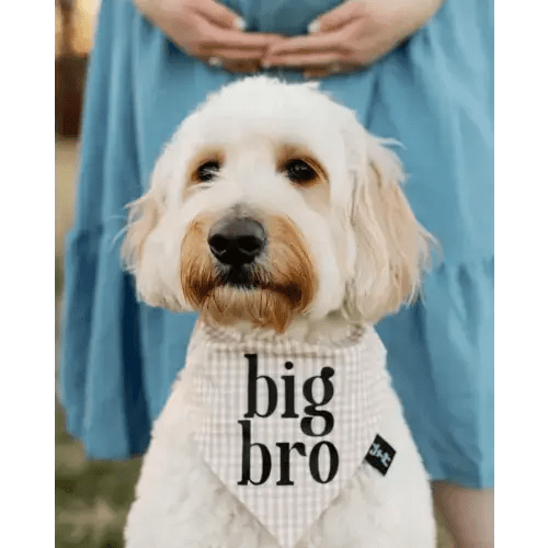 Gingham Big Bro Dog Bandana – Tails Up, Pup
