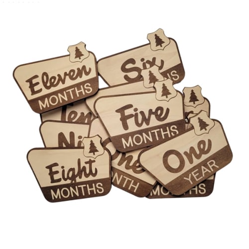 by cherelle lynne National Parks & Recreation Milestone Markers | First Year Newborn Photography Prop | Baby Shower Gift | Infant Monthly Tracker Signs | Laser Cut Engraved Milestone Markers