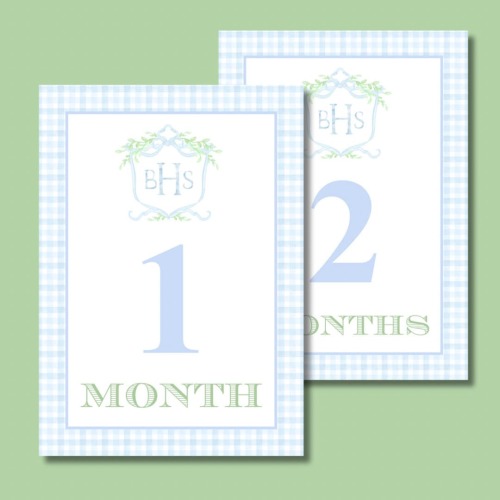 BLUE Custom Crest Baby Milestone Cards