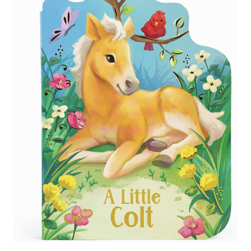 A Little Colt: A Baby Horse Board Book Story