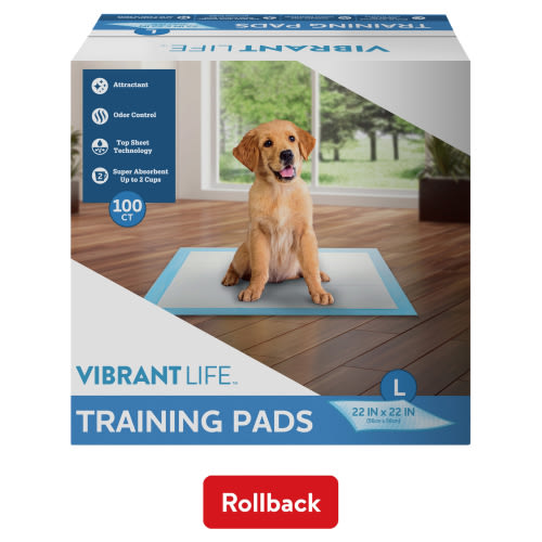 Vibrant Life Training Pads, Large, 22 in x 22 in, 100 Count