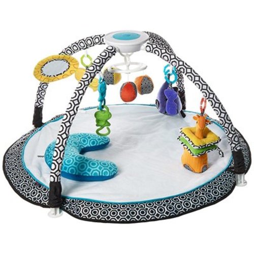 Fisher-Price Sensory Gym