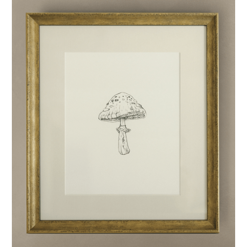 The 'Mushroom' Framed Art
