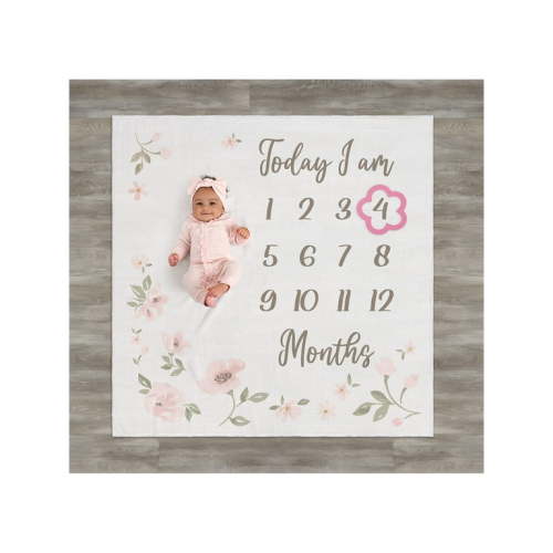 Modern Moments By Gerber Baby Girl Milestone Blanket & Frame Set, 2-Piece, Pink