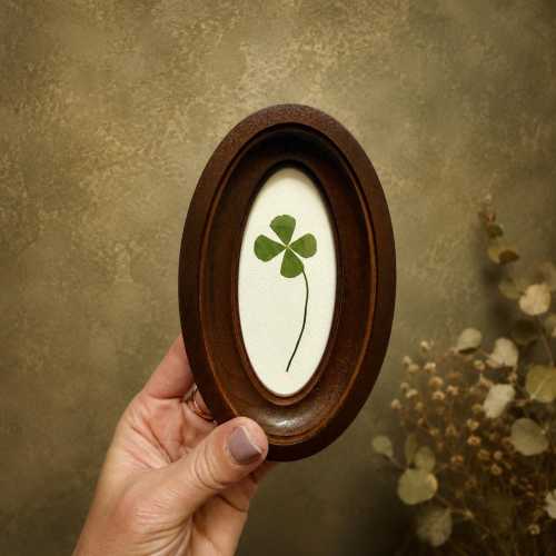 Four-leaf clover in an oval frame, lucky charm, dried clover, handmade botanical decor