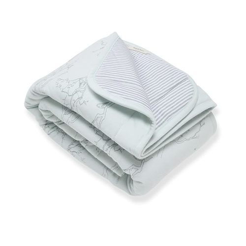Burt's Bees Baby Reversible Blanket, Nursery, Stroller & Tummy-Time Organic Jersey Cotton Quilted Infant & Toddler Bedding
