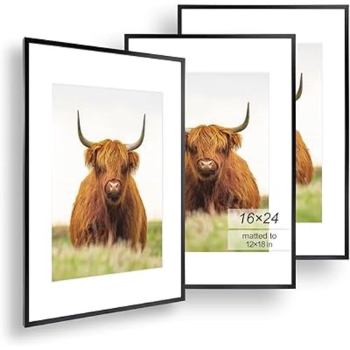 Golden State Art, 16x24 Picture Frame Set of 3, Black Thin Border, Display Photo 12x18 with Mat or 16x24 Without Mat, Poster Frame for Wall Hanging Horizontal and Vertical