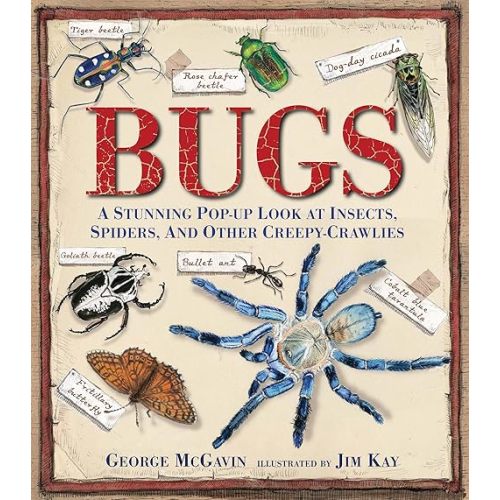 Bugs: A Stunning Pop-up Look at Insects, Spiders, and Other Creepy-Crawlies Hardcover – Pop up, October 8, 2013