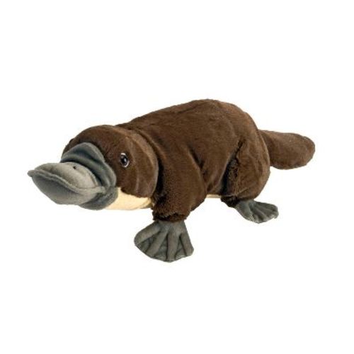 CK PLATYPUS
