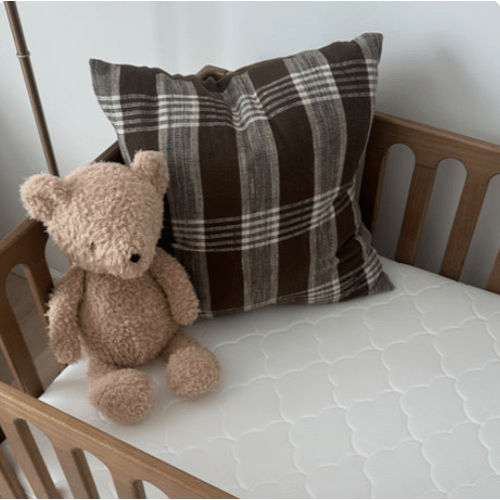 Baby Fund - Future 529 Savings Account