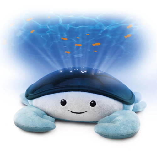 Cody Ocean Projector