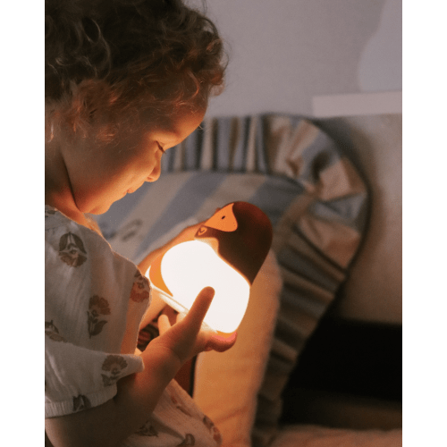 Jesus Night Light