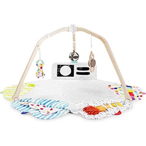 LOVEVERY | The Play Gym | Award Winning Baby Play Gym, Stage-Based Developmental Activity Gym & Play Mat for Baby to Toddler