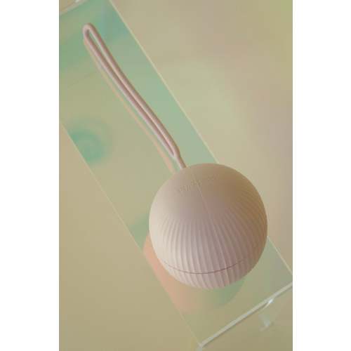 The Pacifier Sanitary Storage Case || French Pink