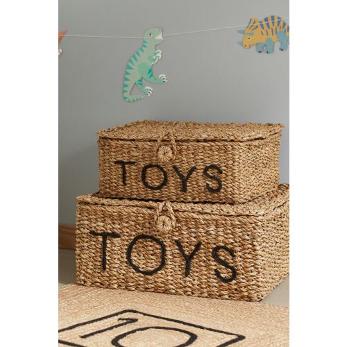 Toy Storage Box