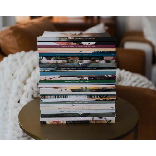 Children's Board Book Bundle – The Daily Grace Co.