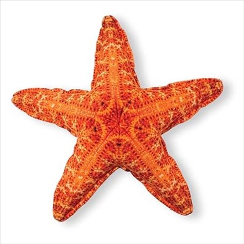 Real Planet 9" Star Fish Stuffed Animal - Realistic Stuffed Animals, Soft Plush Toy for Kids, Mini Ocean Sea Animals, Star Fish Ocean Toys, Fishing Gifts