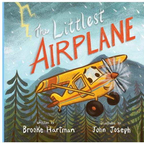The Littlest Airplane